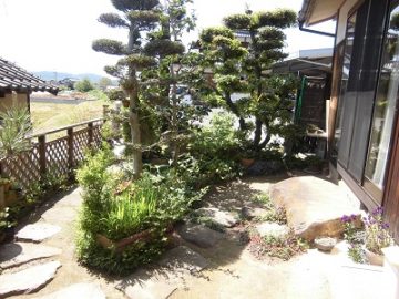CIMG0546