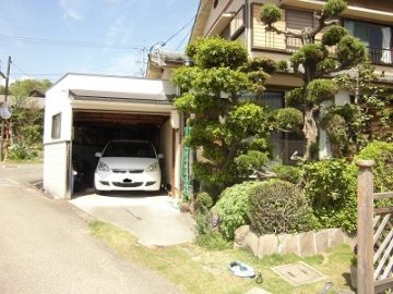 CIMG0550